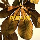 체육공원길 네이버블로그