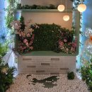 카페청춘 | 깔끔한 분위기에 포토존까지 있는 부천 카페 청춘 내돈내산 후기