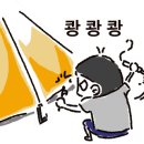 루파니애견캠핑장 이미지