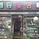 엘림꽃방 - 동작구 상도로 383-1 | 엘림꽃방