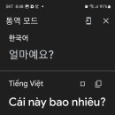 베트남어 통역, 외국어 번역기, 이미지