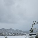 🌨 대설(大雪) 내리는 속초시내... 이미지