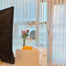 자이언트포레스트 이미지