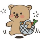 비타상점 이미지