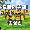 하전농장 | 고창 청보리밭 축제 일정 확인하세요｜주차장·체험·여행코스 총정리