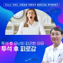 세연투섬내과의원 | 강서구 등촌동 신장내과 혈액투석 후 피로감이 유독 심해지신다면 읽어보세요.