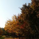 화랑유원지 이미지