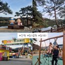 낙원게임장 | 의림지 충북 제천 아이와 가볼만한 곳 용추폭포 놀이동산 주차장