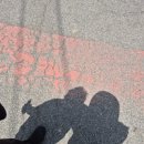 무룡산 | ​[울산 초보 등산코스] 무룡산 제일 쉬운 최단코스 추천! 주차 정보 및 다람쥐 천국 힐링 후기