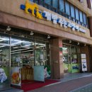 개밥주는고양이 이미지