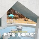 카페드윤 - 성남시 분당구 백현로144번길 29-1 | 진주베이커리카페 신상 핫플 판문동 카페드펄