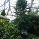 연수꽃식물원 이미지