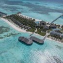 플랜메드 이미지