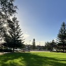 다팜메디칼 | 해리포터 OTT/파이포 유틸리티 갈 수 있을까?/메디컬테스트/만두라 게잡이/만두라도서관 영어수업/문어...