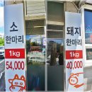 문화회관~서산교육지원청 이미지