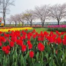 섬진강(순천)휴게소 이미지