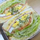 샌디샐리 이미지