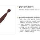 원이머리나라 - 금천구 독산로78길 21 | 원이머리나라