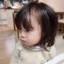 정글짐 에이전시 네이버블로그