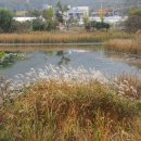 운길산역 이미지