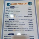 돌고래여행사주