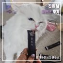 주묘 | 고양이 기력 회복에 좋은 영양제 추천 - 한방 츄르 묘진단 후기