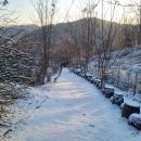 제일농장 이미지