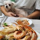 영애식당 | 내돈내산 더자리캠핑장 영애회식당 죽도시장