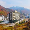 정선인투라온호텔 이미지
