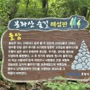 기계봉좌마을 이미지