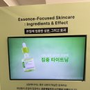 성수 성분에디터 그린토마토 마켓 팝업 후기