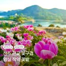 전주 근교 꽃구경 옥정호 임실 작약 꽃밭 후기