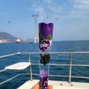 구명카써비스 | 부산가볼만한곳 부산놀거리 송도요트투어 후기