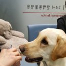 24시 안박동물병원 이미지