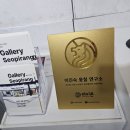 갤러리서피랑 이미지
