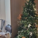 카페 모퉁이 이미지