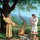 기드온(주) 이미지