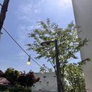 헤이리로(헤이리맞은편 1번게이트) 이미지