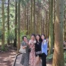 프로카써비스 | 제주도 렌트카 기사포함 예약 요금 후기, 제주 스타리아 투어 완벽 정리