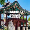 충청상회 | 충주 볼거리 관아골 문화재 충청감영 500년 된 느티나무 + 주변 볼거리