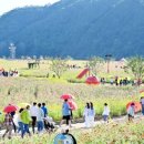 산소카폐 청송정원 (1) 이미지