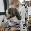 개네집곳간 네이버블로그