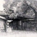 연스