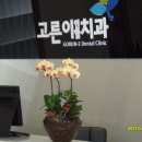 고른이치과의원 이미지