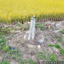 꼭지공인중개사사무소 이미지