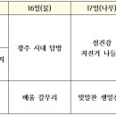 [2024년 빛알찬 가을들살이] 알려요~:D 이미지