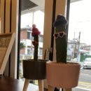 한미숙커피공방