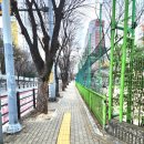 대구중앙초등학교 이미지