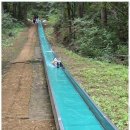 용인대 승리태권도장 이미지