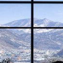 태백목장 이미지